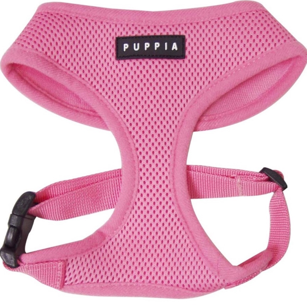 dog harness